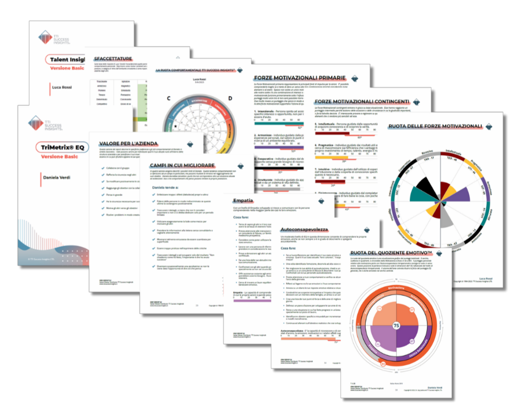 Perché scegliere TTI Success Insights