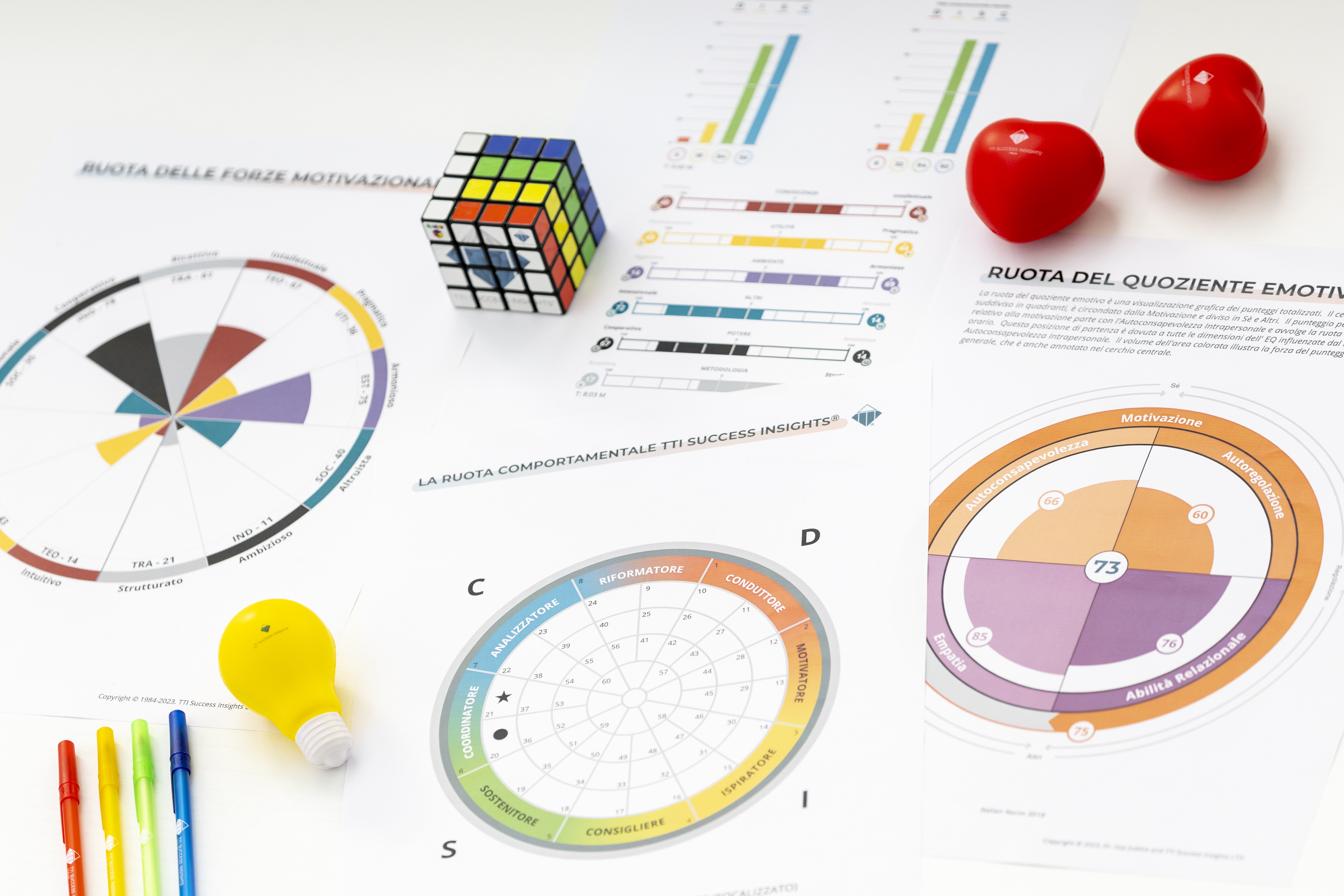 Strumenti di assessment TTI Success Insights